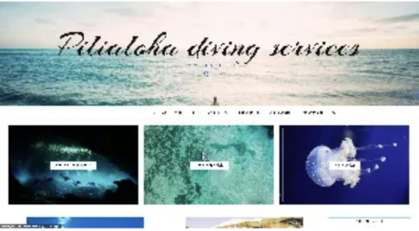 Pilialoha diving servis